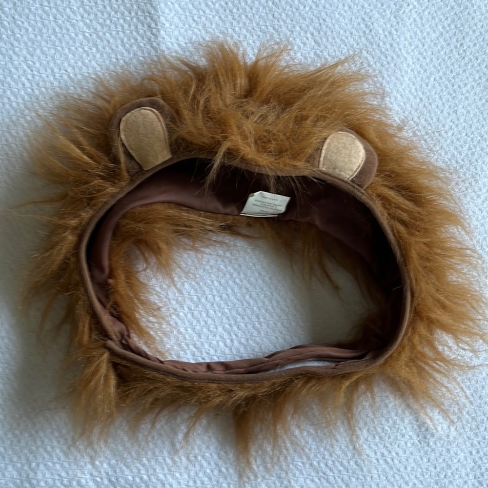 XL/XXL Lions Mane Dog Halloween Costume.